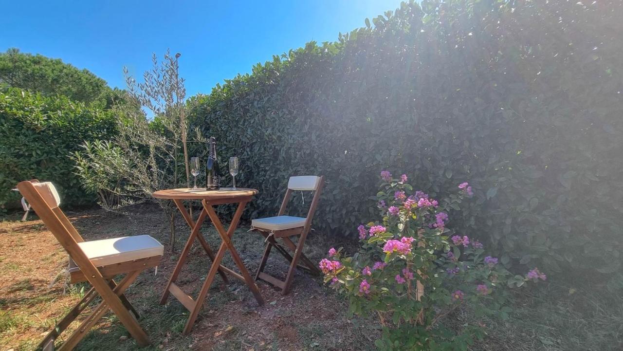 Lea Appartement Novigrad Istria Buitenkant foto